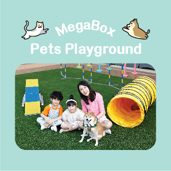 Pets Playground
